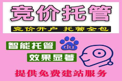 搜索引擎营销托管的创新应用案例