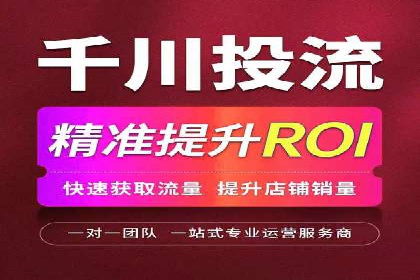百度竞价代运营成功案例解析